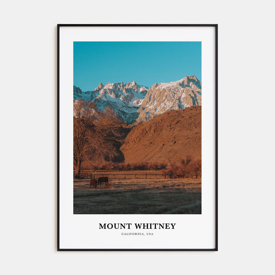Mount Whitney Portrait Color Poster
