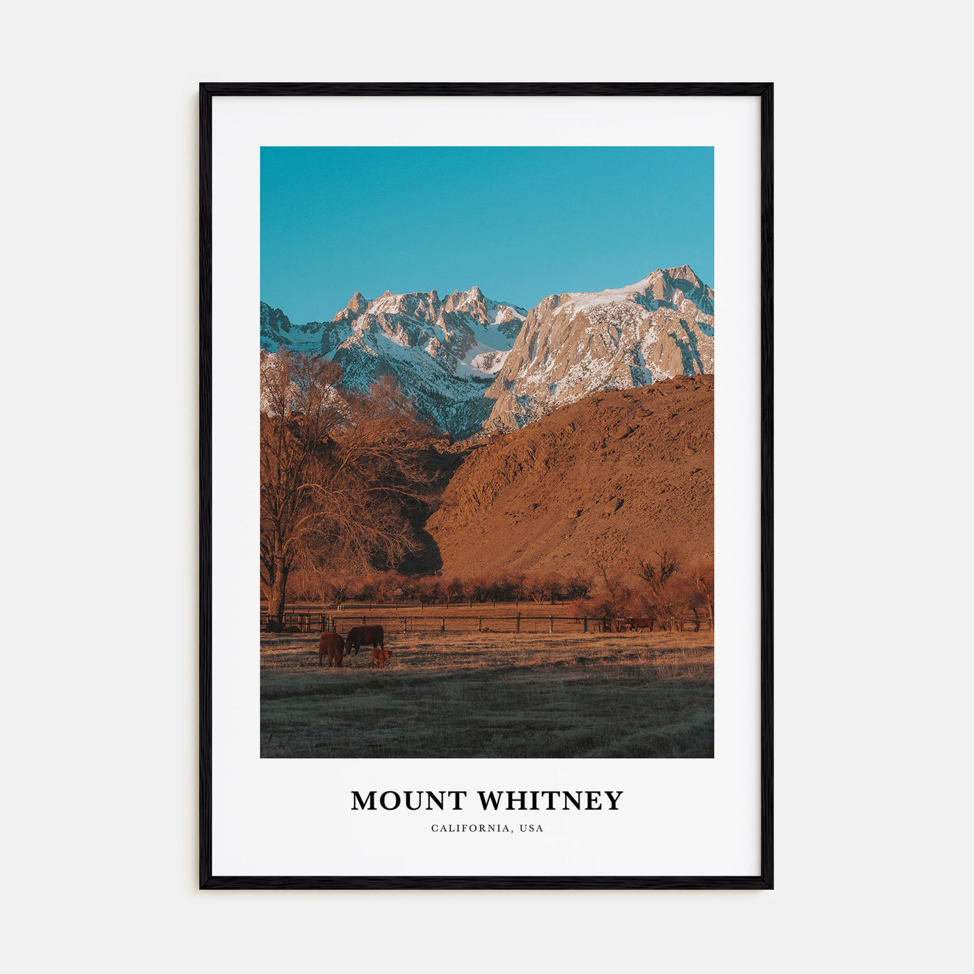 Mount Whitney Portrait Color Poster