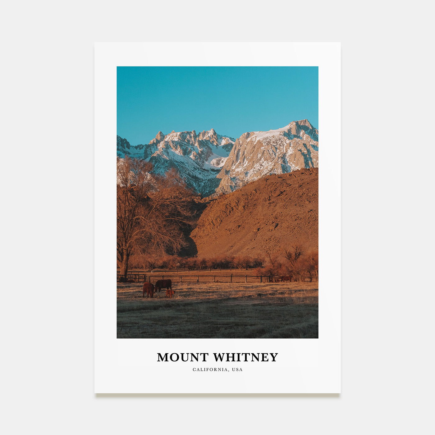 Mount Whitney Portrait Color Poster