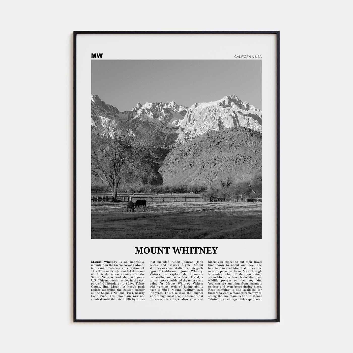 Mount Whitney Travel B&W Poster