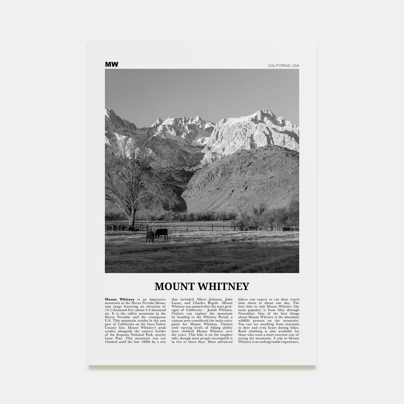 Mount Whitney Travel B&W Poster