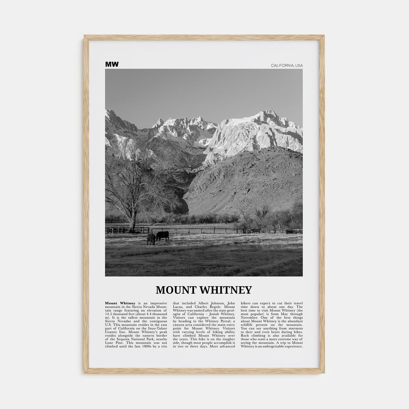 Mount Whitney Travel B&W Poster