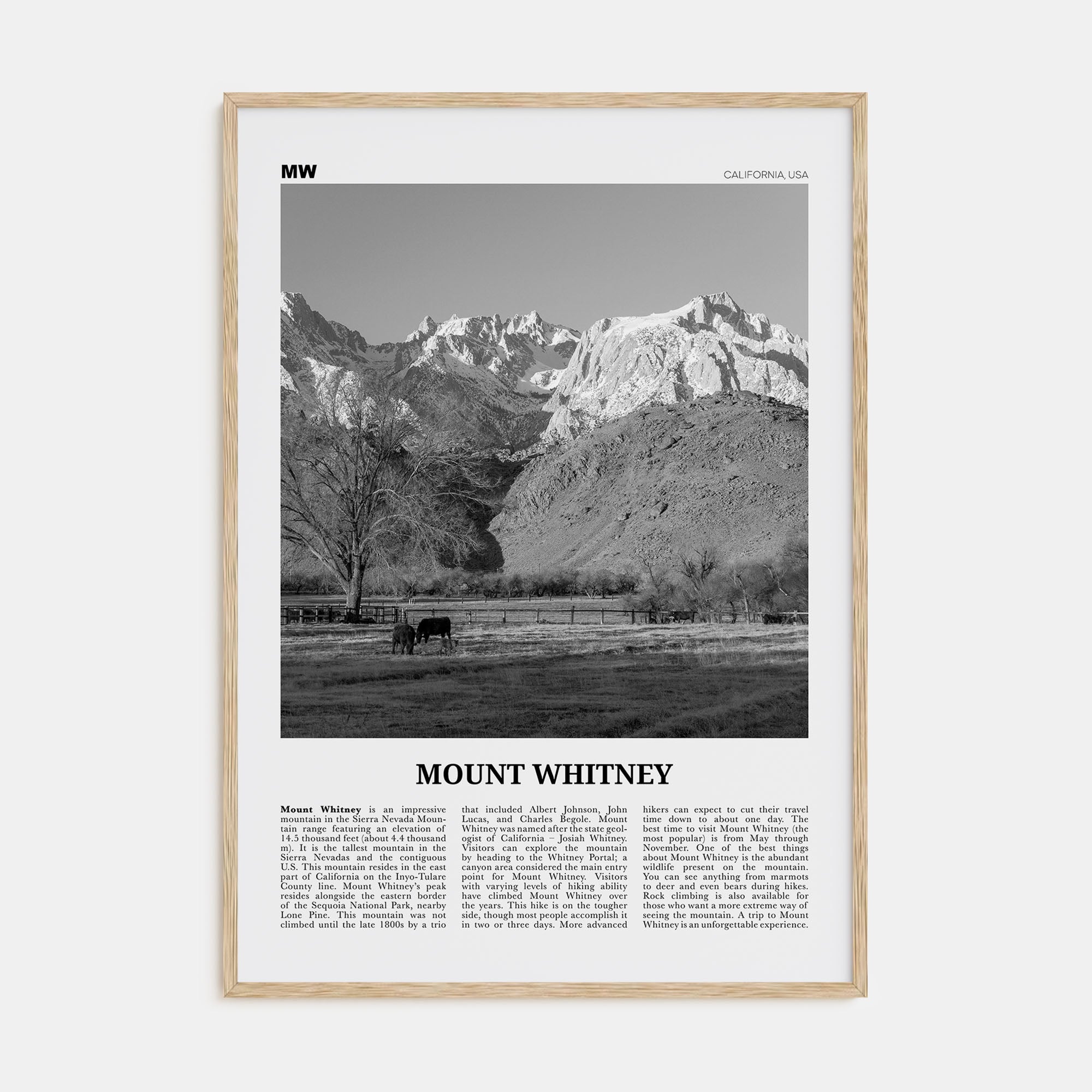 Mount Whitney Travel B&W Poster