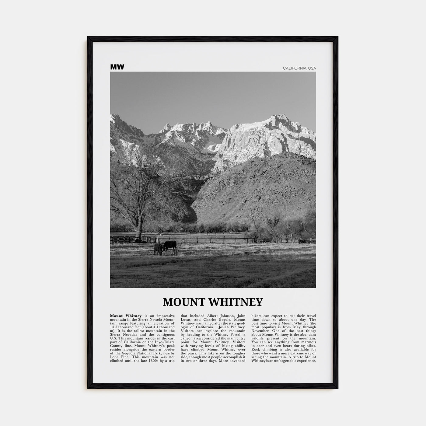 Mount Whitney Travel B&W Poster