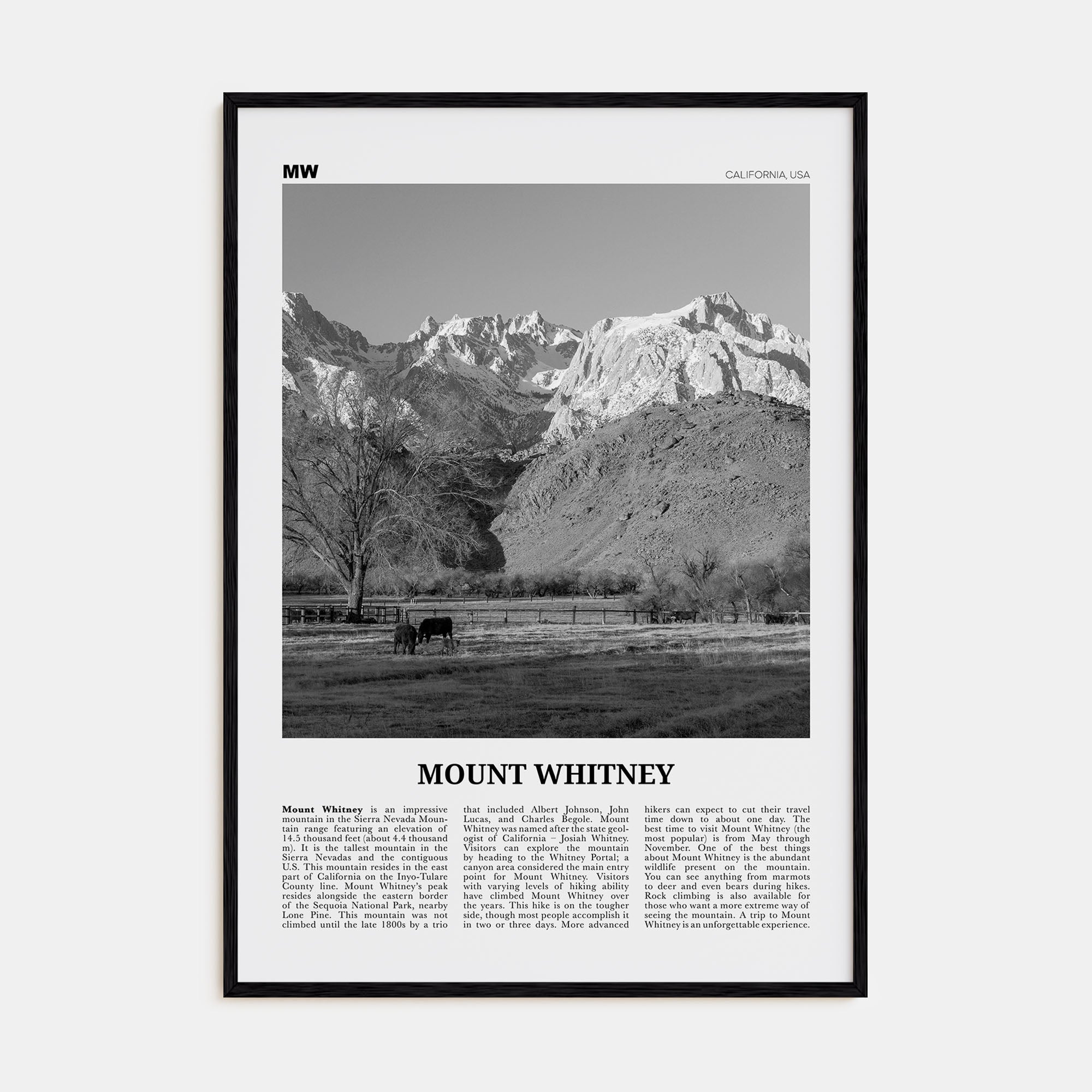 Mount Whitney Travel B&W Poster