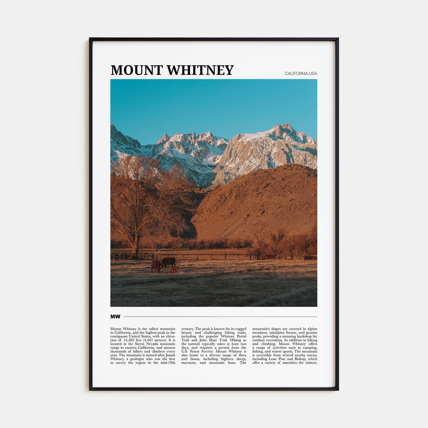 Mount Whitney Travel Color Poster