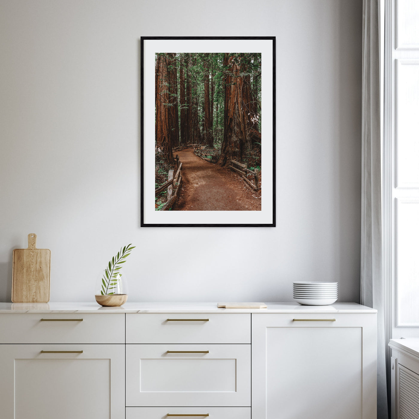 Muir Woods National Monument Photo Color Poster