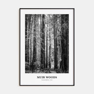 Muir Woods National Monument Portrait B&W Poster