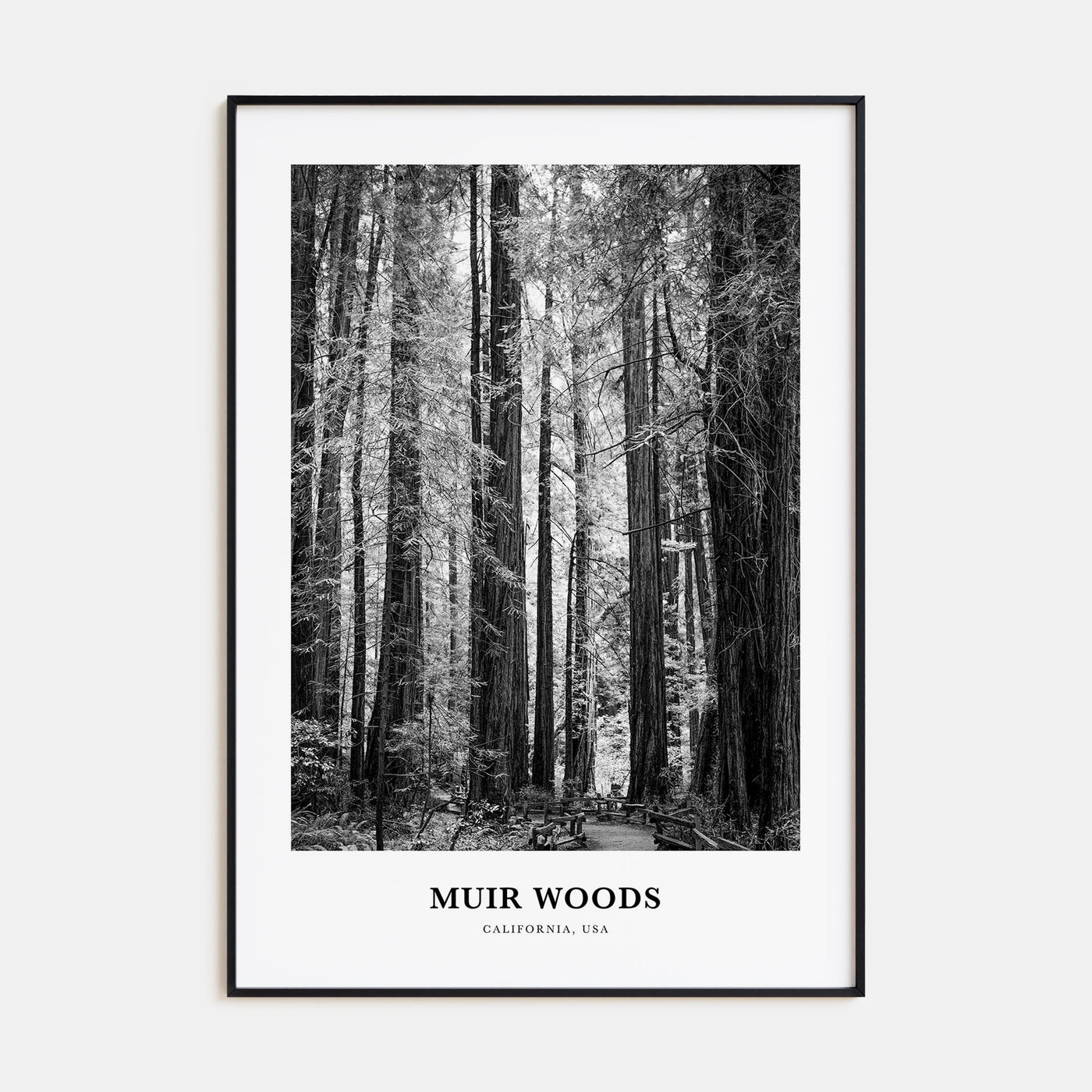 Muir Woods National Monument Portrait B&W Poster