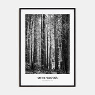 Muir Woods National Monument Portrait B&W Poster