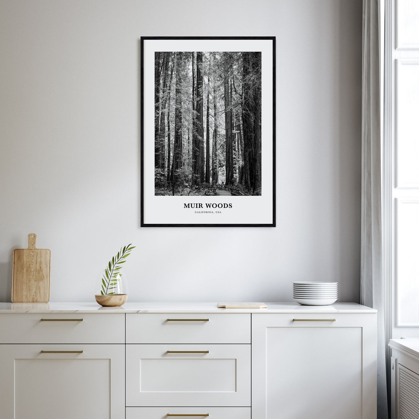 Muir Woods National Monument Portrait B&W Poster
