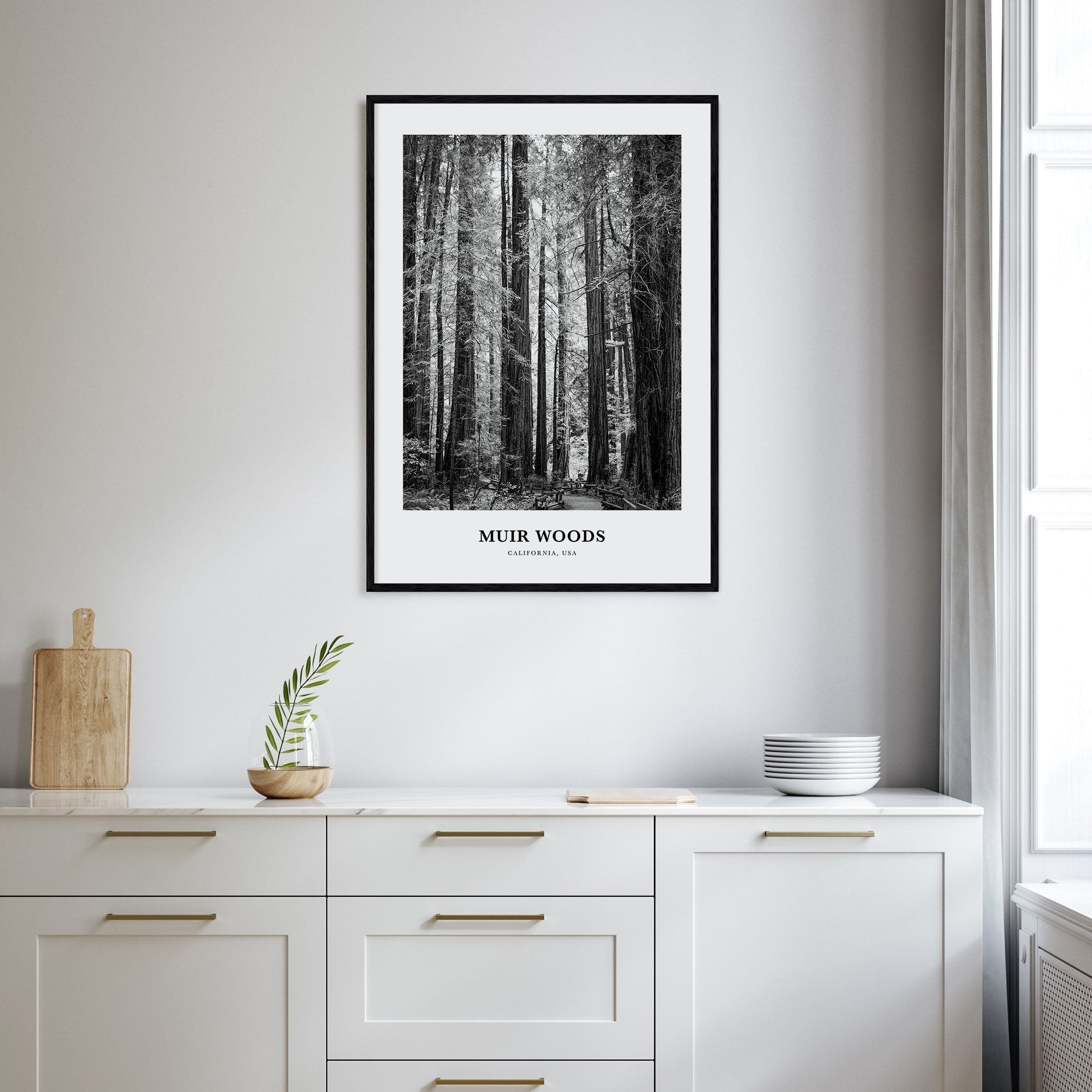 Muir Woods National Monument Portrait B&W Poster