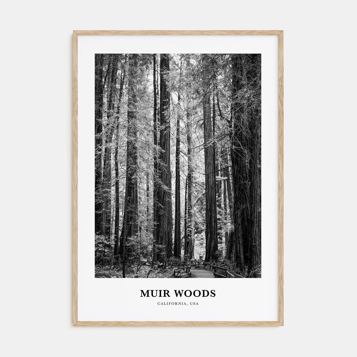 Muir Woods National Monument Portrait B&W Poster