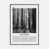 Muir Woods National Monument Travel B&W Poster