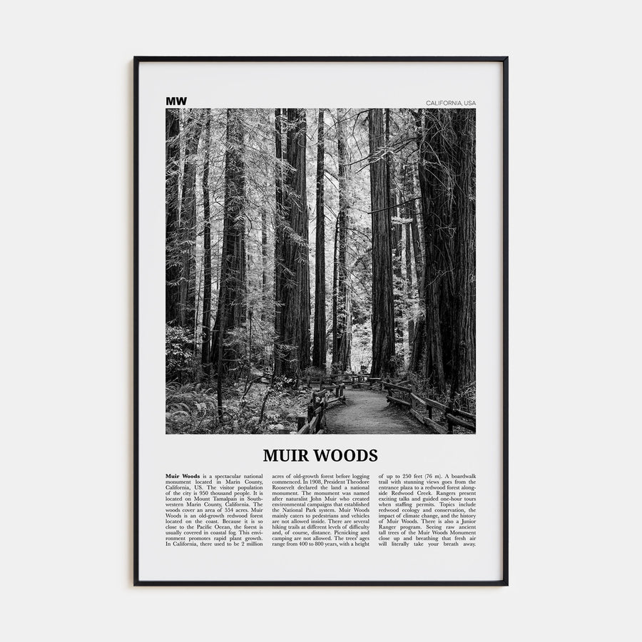 Muir Woods National Monument Travel B&W Poster