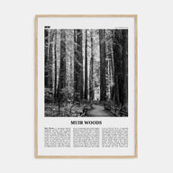 Muir Woods National Monument Travel B&W Poster