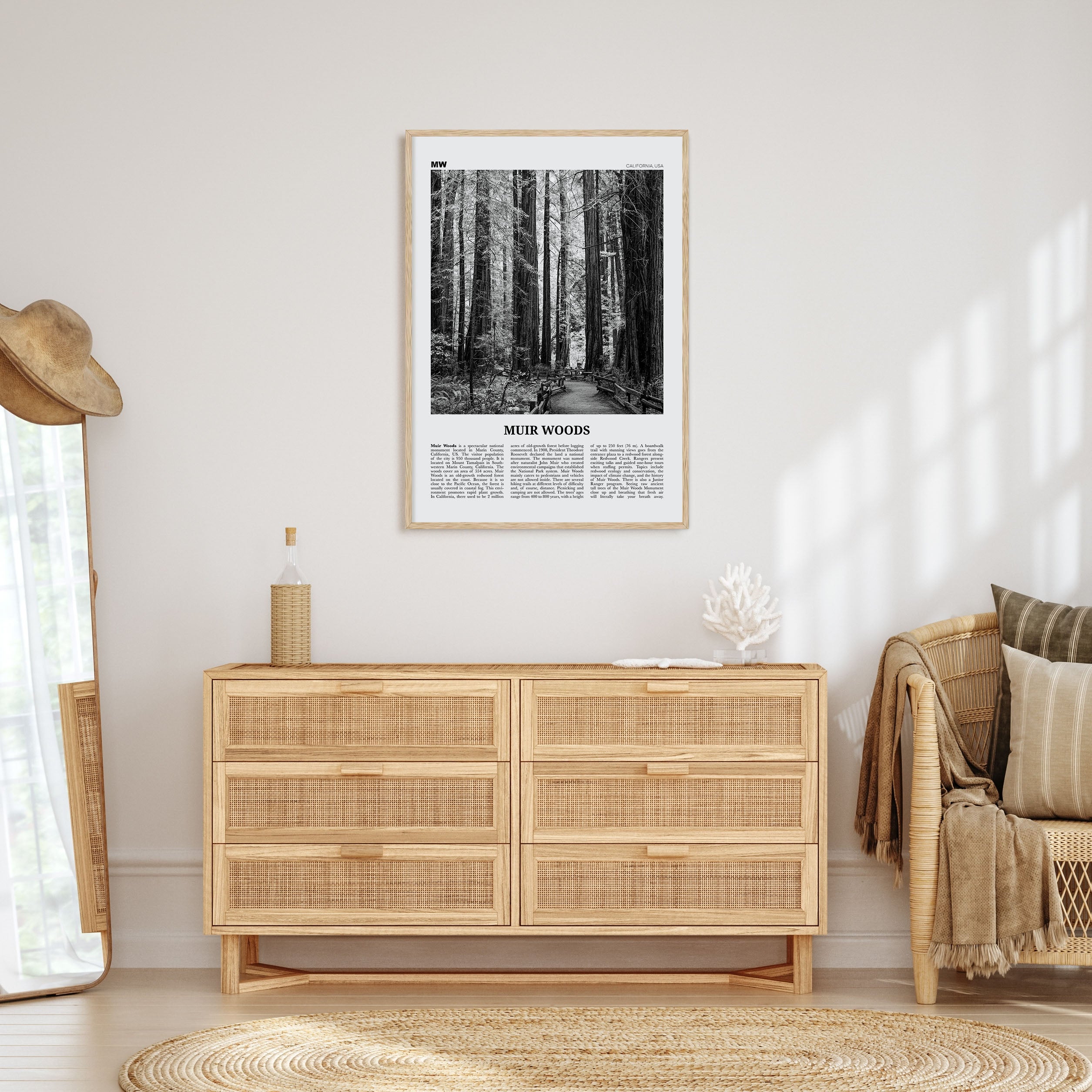 Muir Woods National Monument Travel B&W Poster