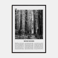 Muir Woods National Monument Travel B&W Poster
