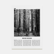 Muir Woods National Monument Travel B&W Poster