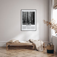 Muir Woods National Monument Travel B&W Poster