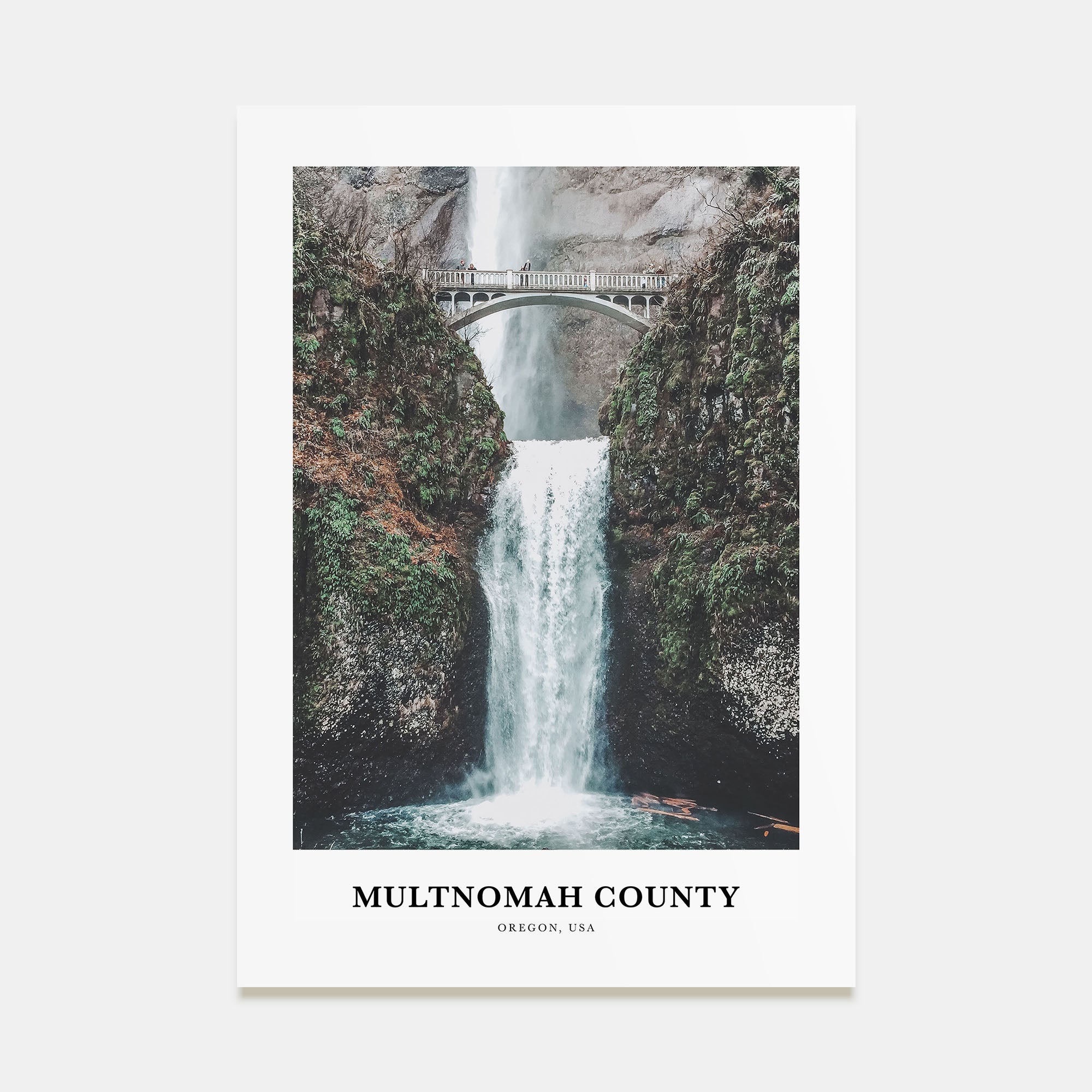 Multnomah County Portrait Color Poster