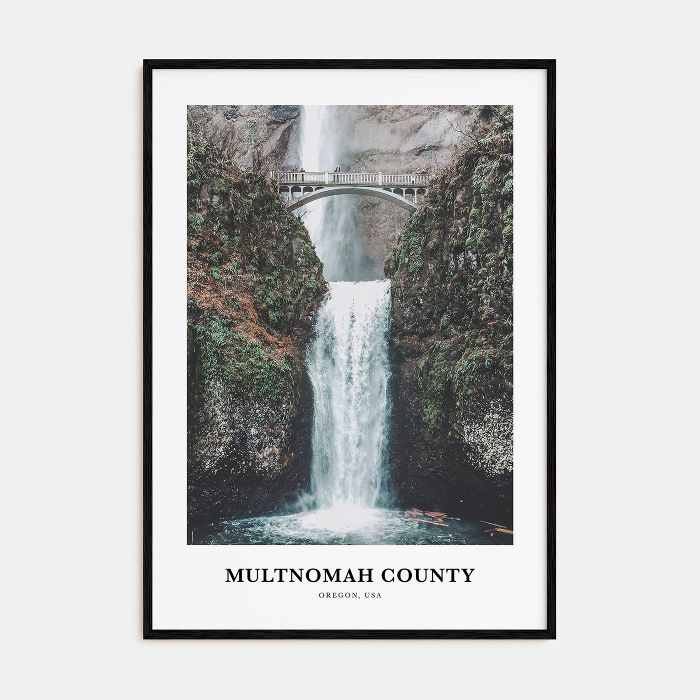 Multnomah County Portrait Color Poster