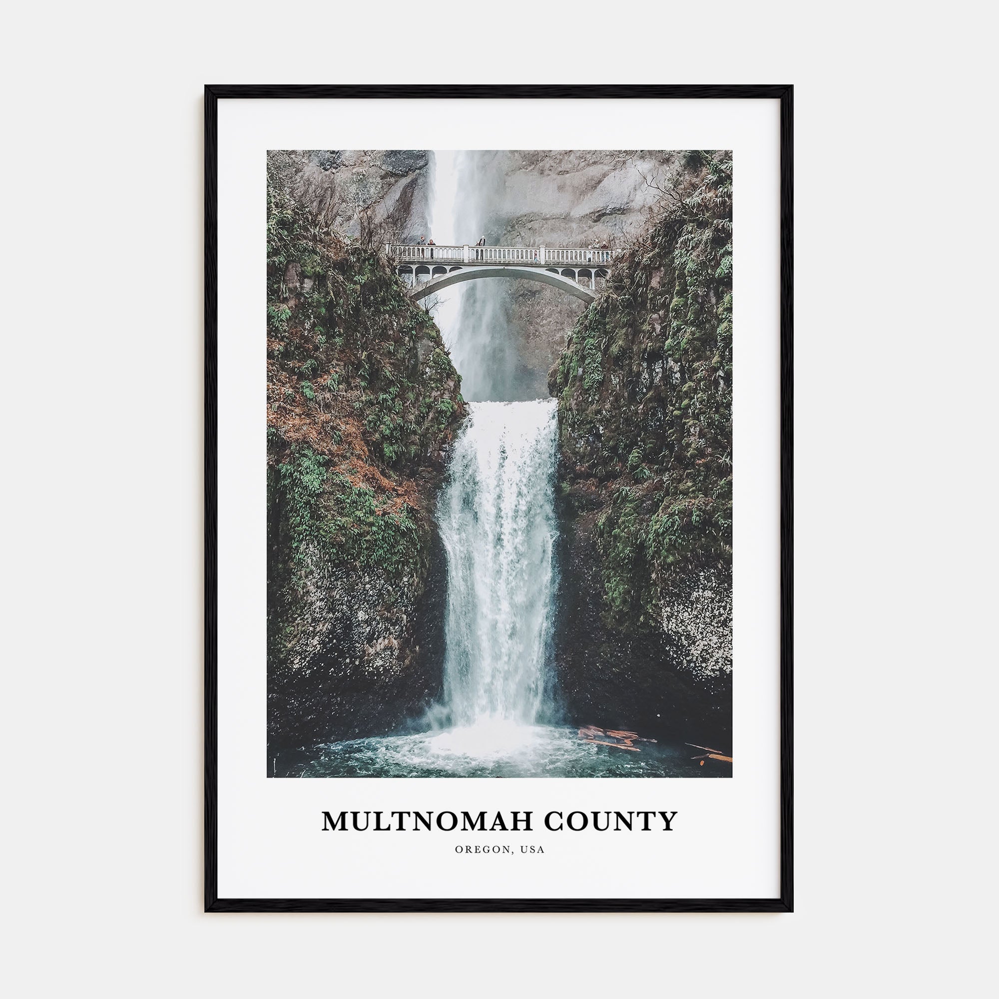 Multnomah County Portrait Color Poster