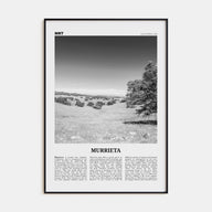 Murrieta Travel B&W No 1 Poster