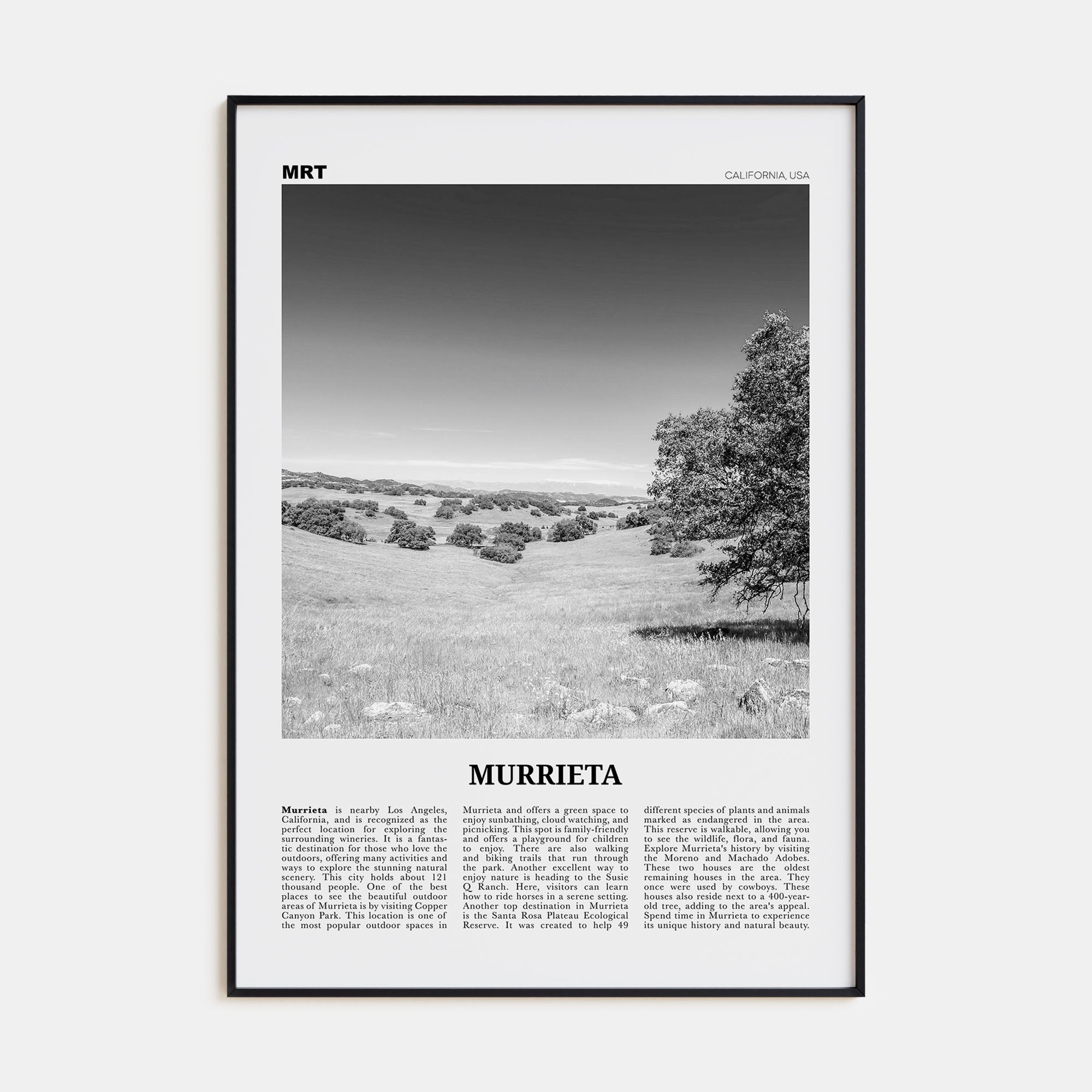 Murrieta Travel B&W No 1 Poster