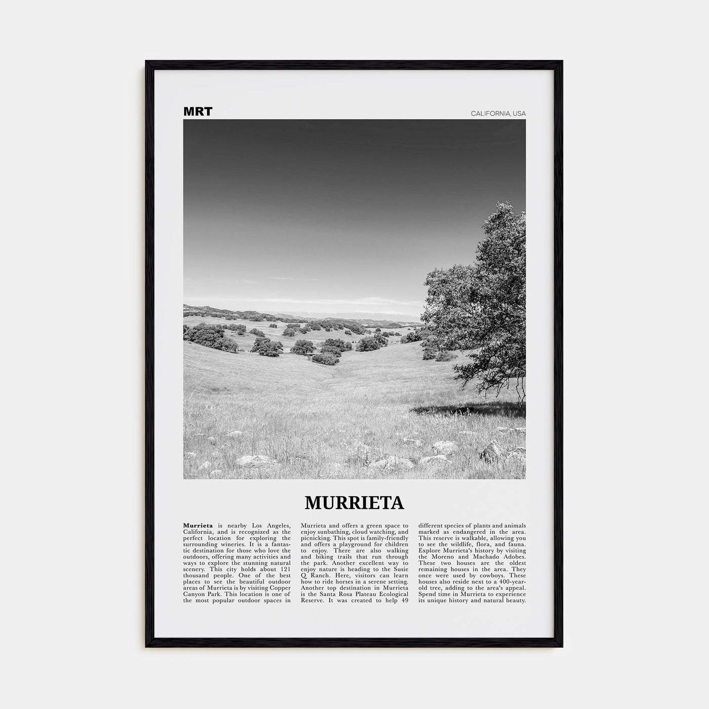 Murrieta Travel B&W No 1 Poster