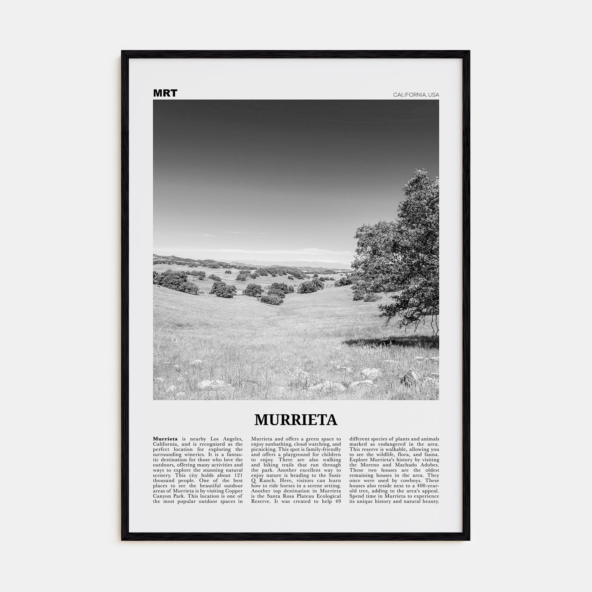 Murrieta Travel B&W No 1 Poster