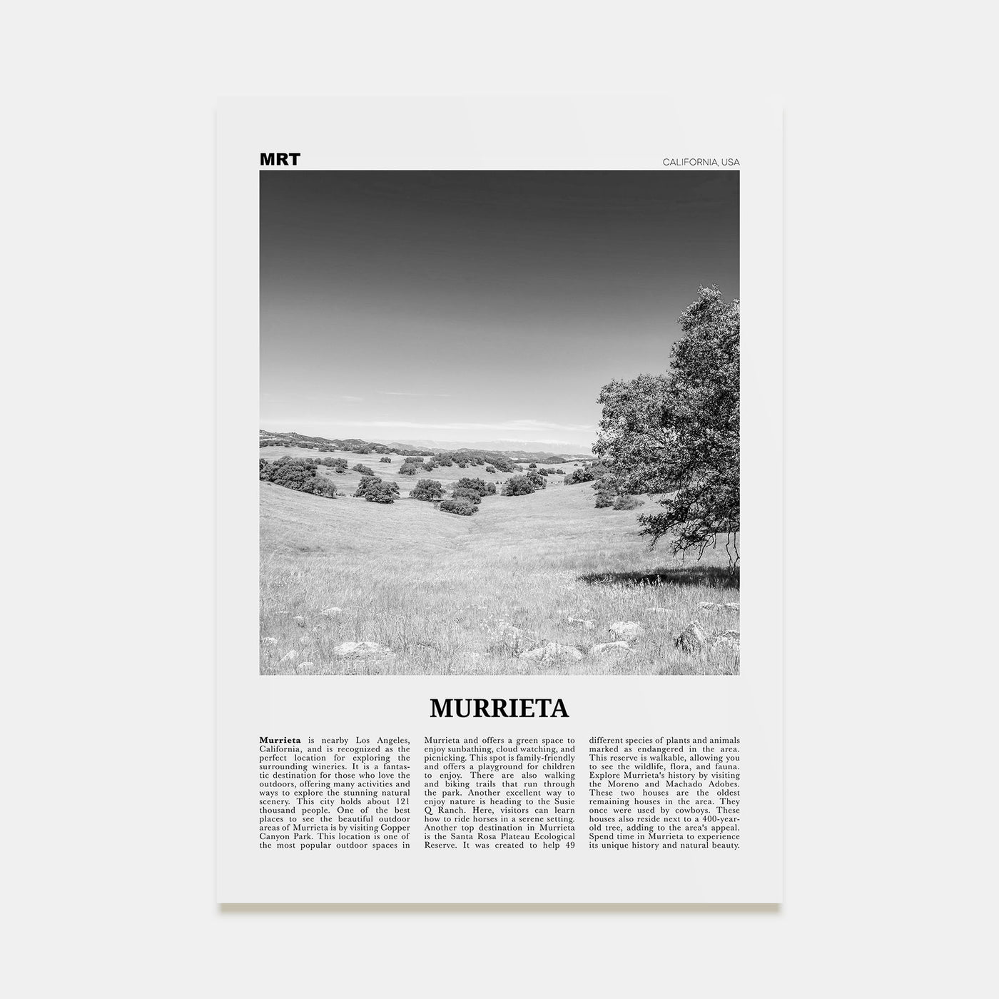 Murrieta Travel B&W No 1 Poster