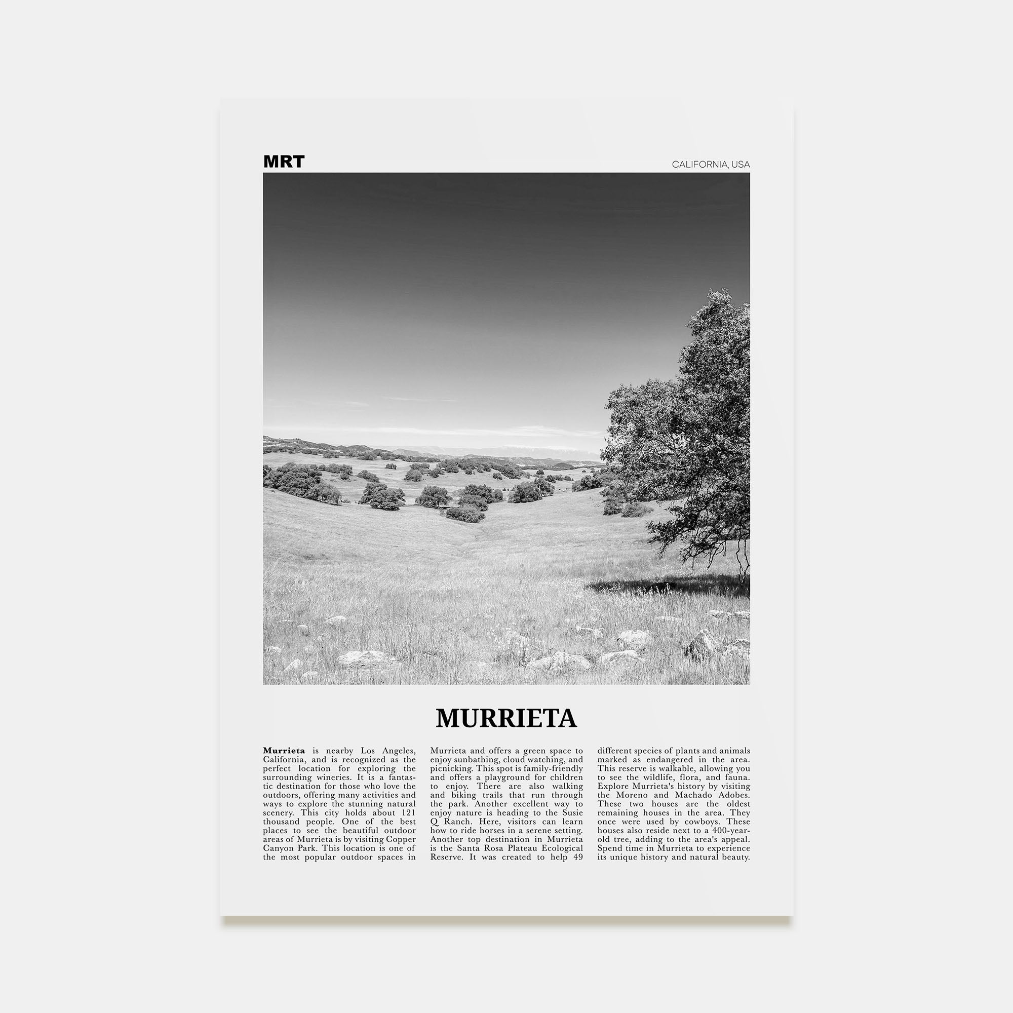 Murrieta Travel B&W No 1 Poster