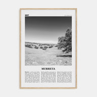 Murrieta Travel B&W No 1 Poster