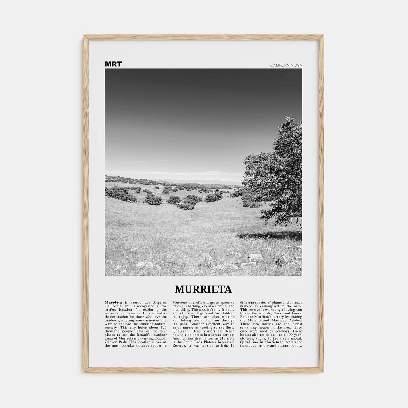 Murrieta Travel B&W No 1 Poster