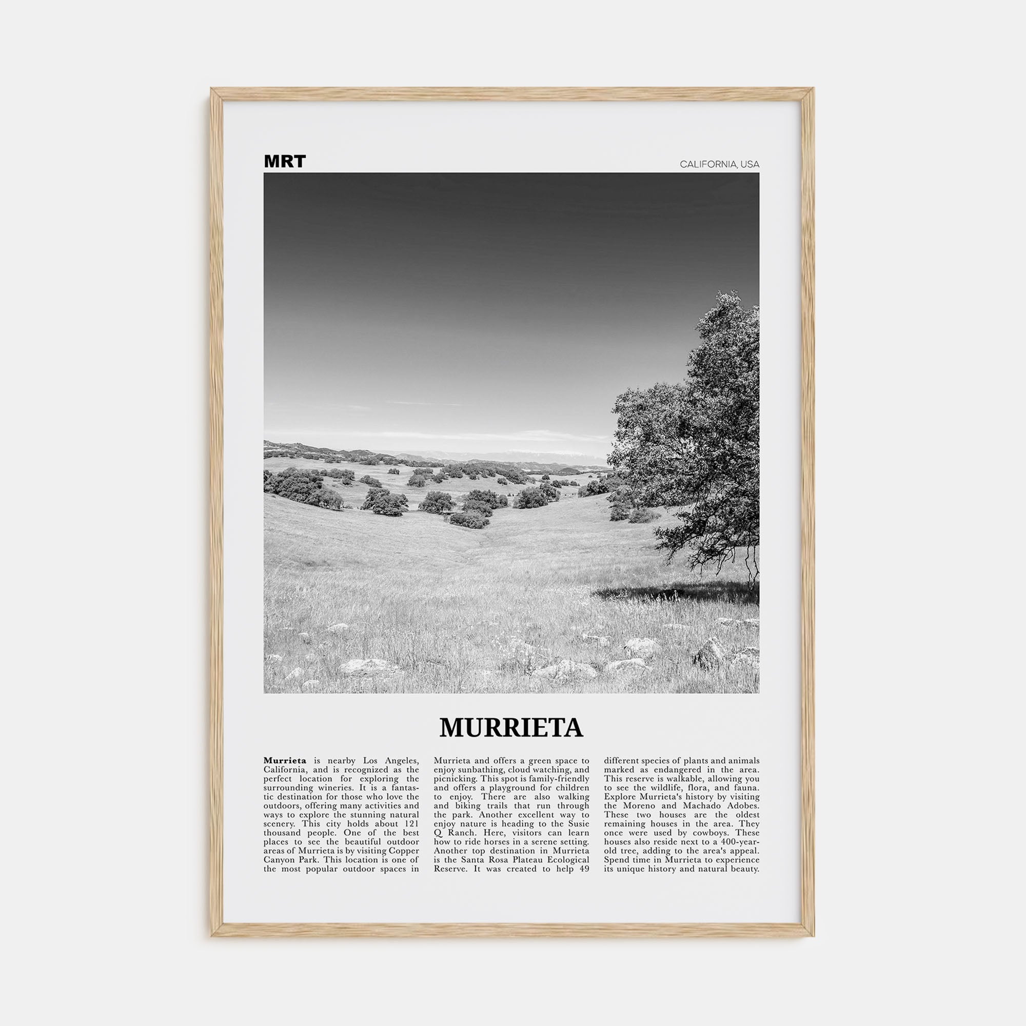 Murrieta Travel B&W No 1 Poster