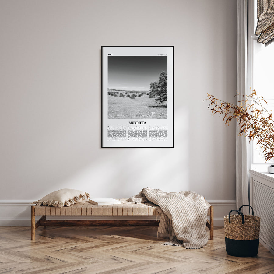 Murrieta Travel B&W No 1 Poster