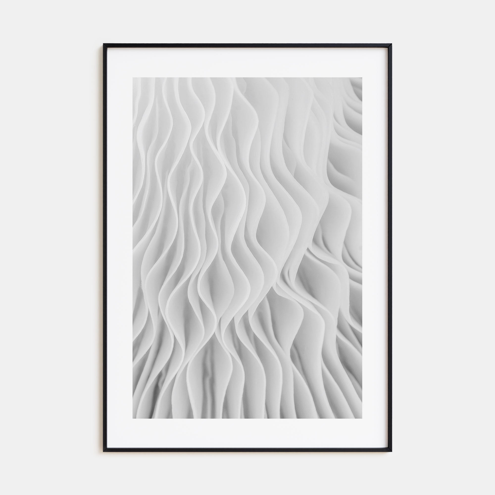 Mushroom Closeup Photo B&W No 1 Poster