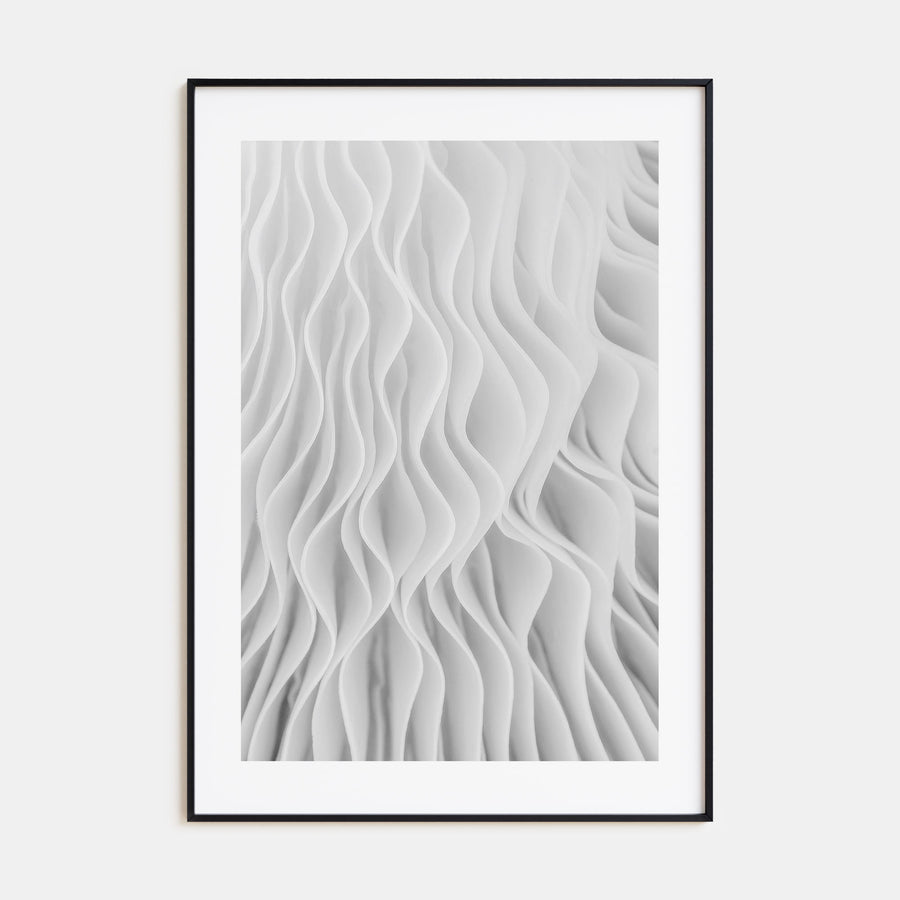 Mushroom Closeup Photo B&W No 1 Poster