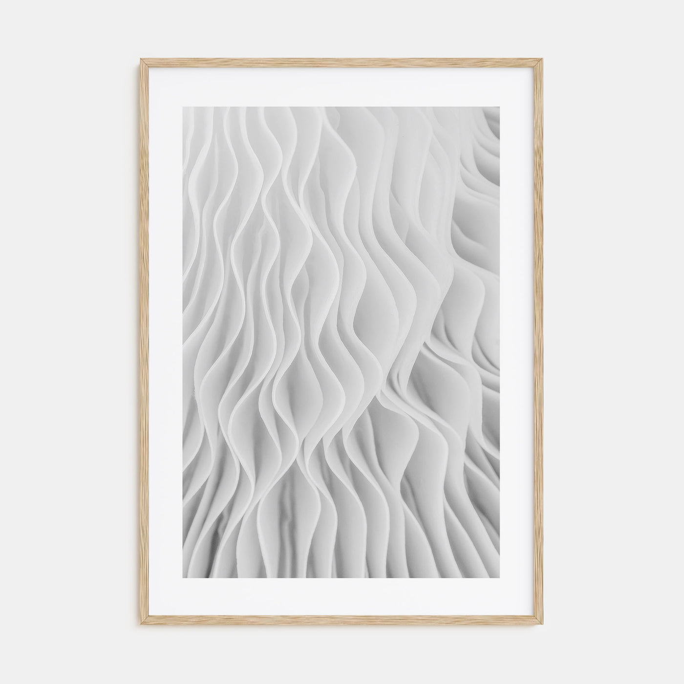 Mushroom Closeup Photo B&W No 1 Poster