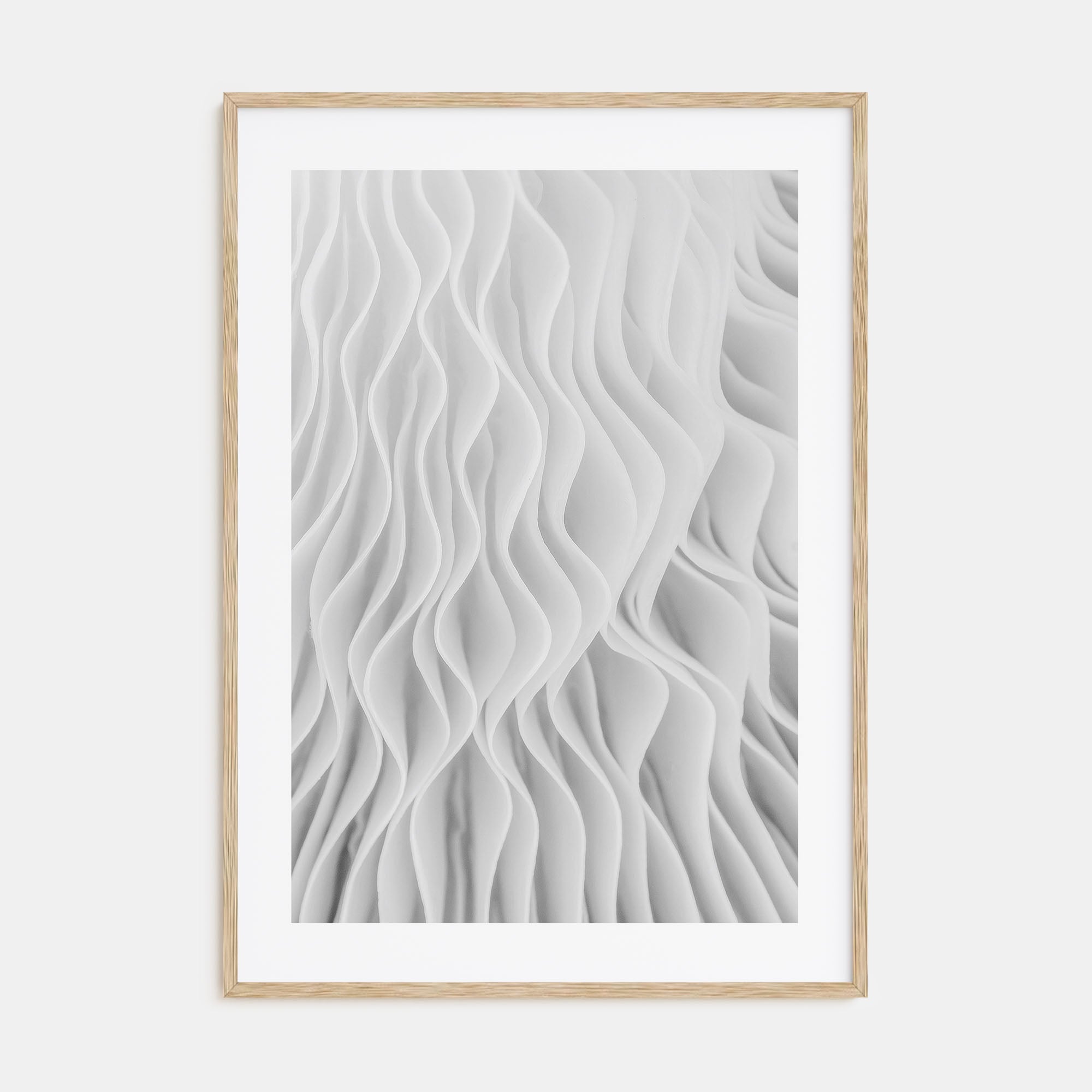 Mushroom Closeup Photo B&W No 1 Poster