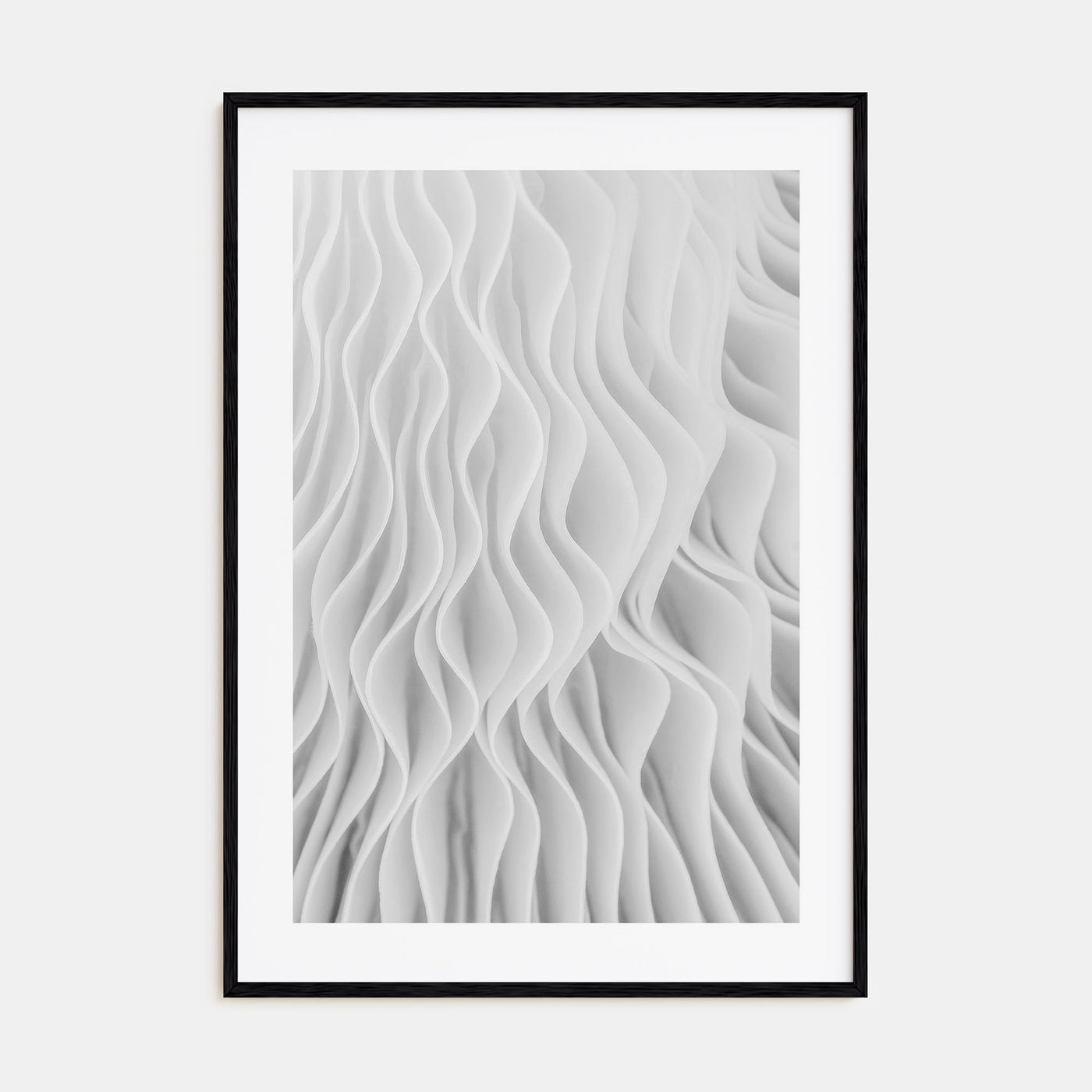 Mushroom Closeup Photo B&W No 1 Poster