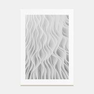 Mushroom Closeup Photo B&W No 1 Poster