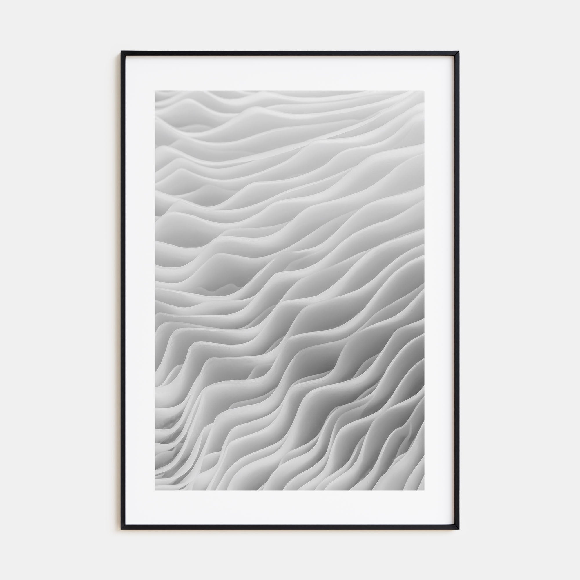 Mushroom Closeup Photo B&W No 2 Poster