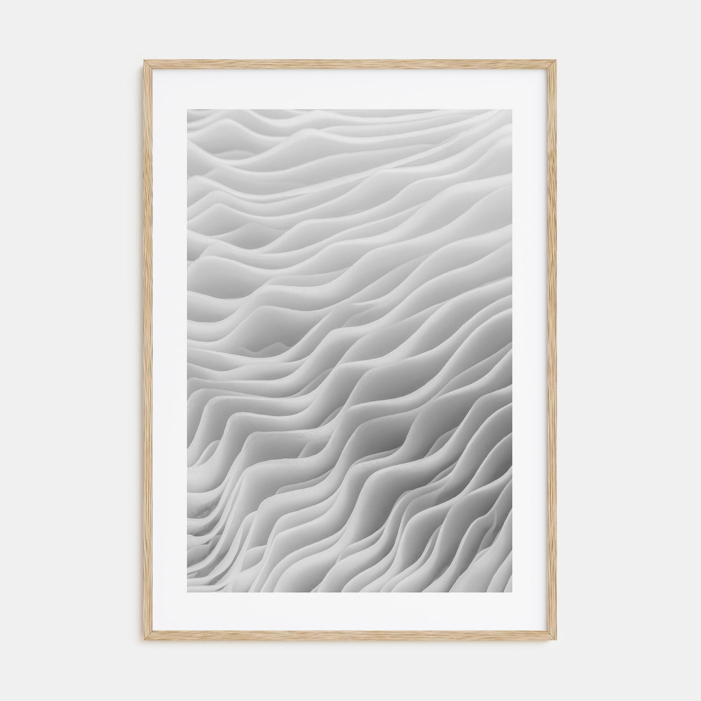 Mushroom Closeup Photo B&W No 2 Poster