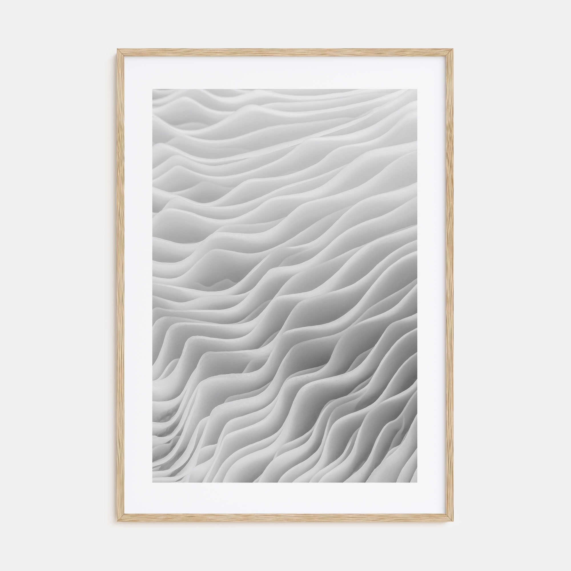 Mushroom Closeup Photo B&W No 2 Poster