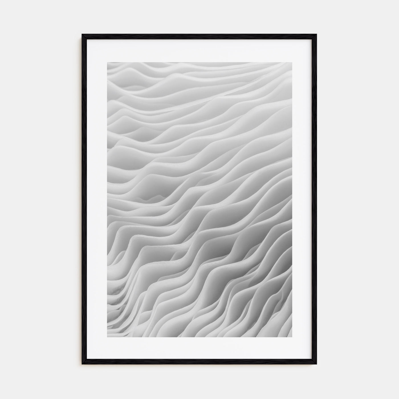 Mushroom Closeup Photo B&W No 2 Poster