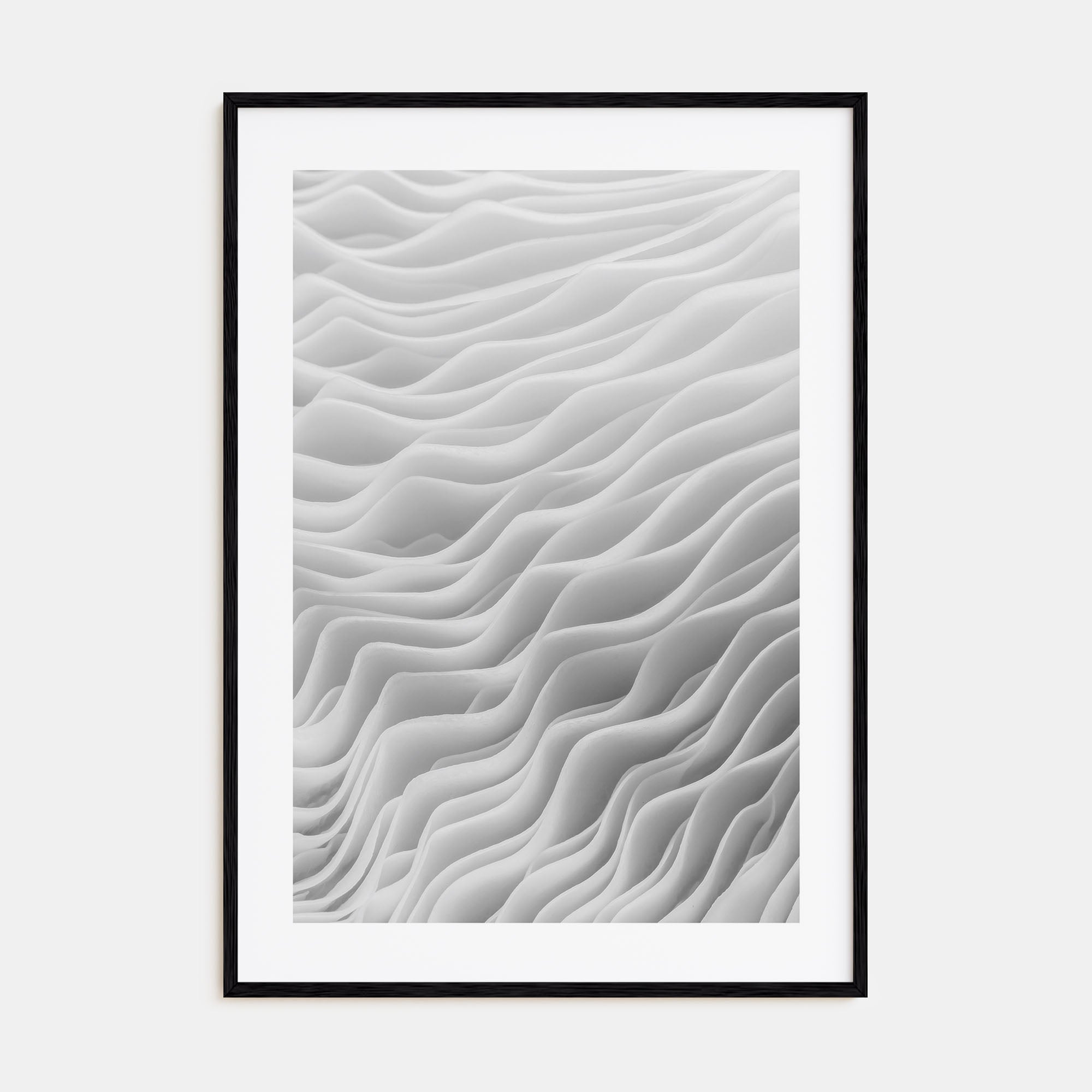 Mushroom Closeup Photo B&W No 2 Poster