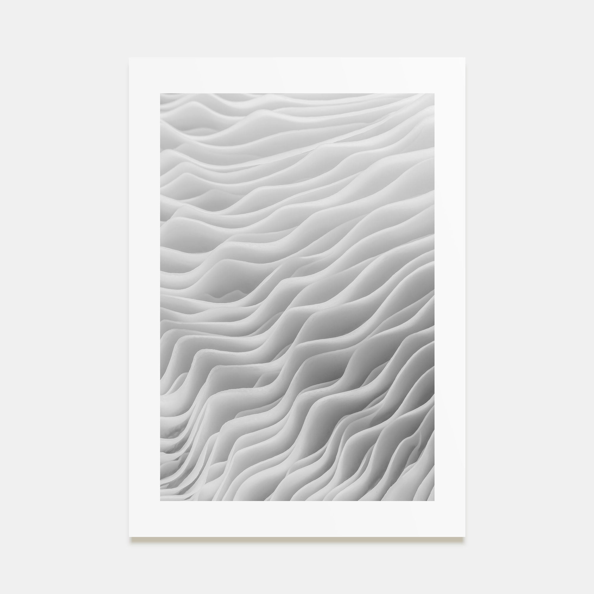 Mushroom Closeup Photo B&W No 2 Poster