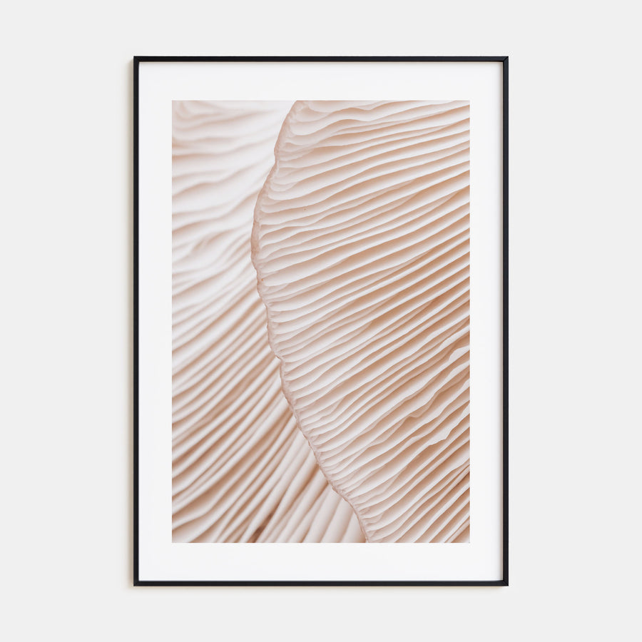 Mushroom Closeup Photo Color Poster